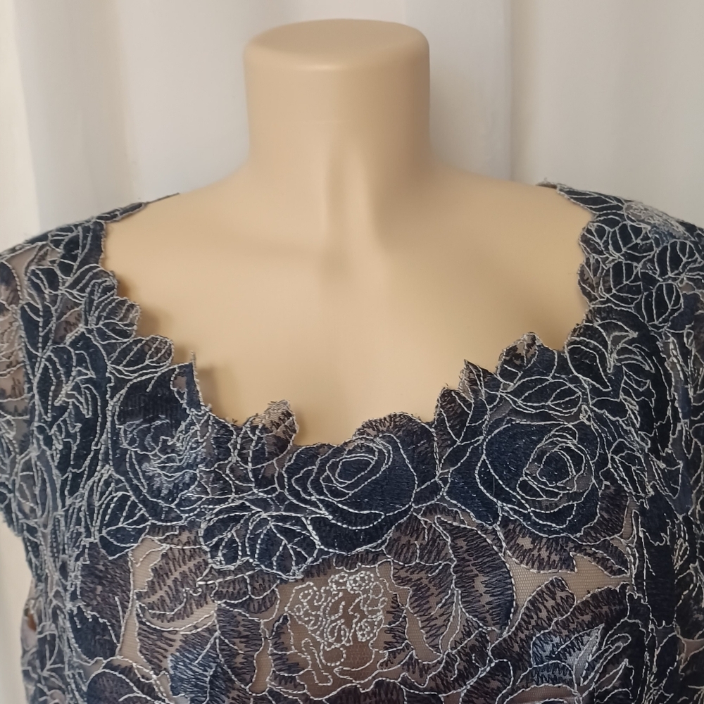 TADASHI SHOJI TOO SiZE 18Q. Elegant Lace Overlay Dress - Picture 5 of 16